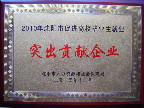 公司荣誉